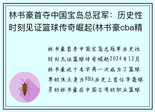 林书豪首夺中国宝岛总冠军：历史性时刻见证篮球传奇崛起(林书豪cba精彩集锦)