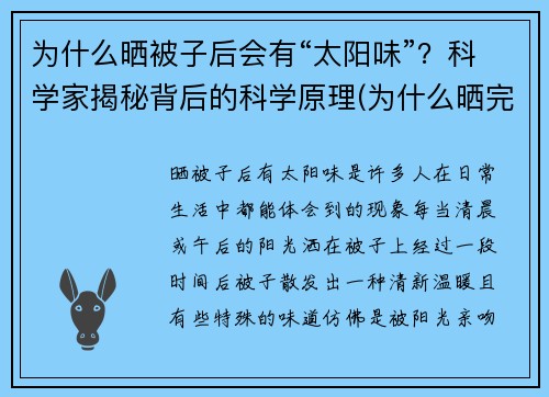 为什么晒被子后会有“太阳味”？科学家揭秘背后的科学原理(为什么晒完被子会有股太阳味)